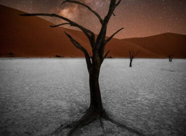 16142 Įspūdingas Naktinis Mėlynojo Kelio Nuotrauka Atskleidžia Kos