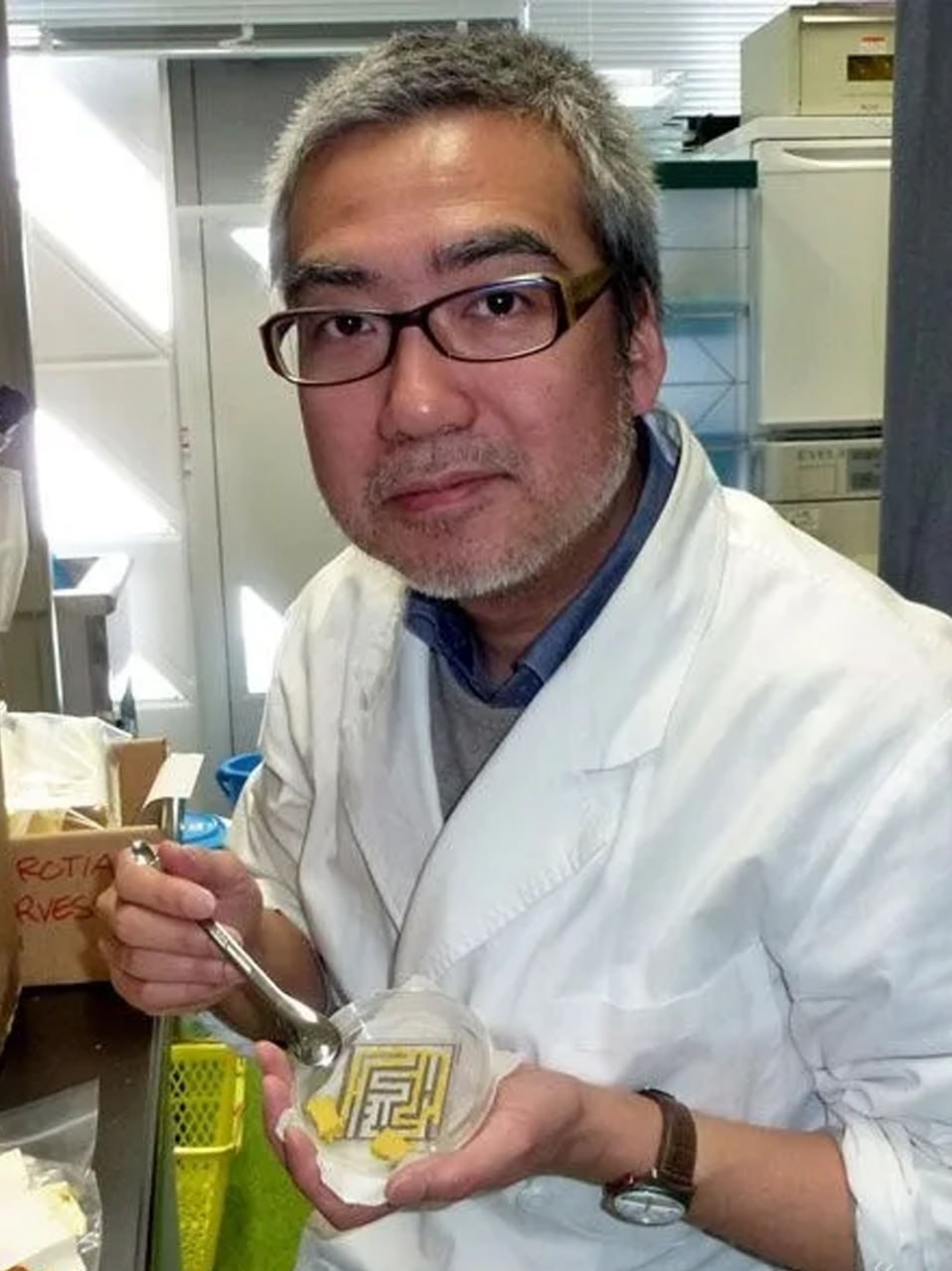 Mokslininkai atrado: pelėsis suprojektavo Tokijo metro tinklą tiksliau nei inžinieriai 16176 Mokslininkai Atrado Pelėsis Suprojektavo Tokijo Metro Tinkl