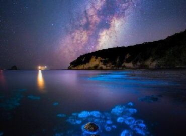 16177 Paukščių Takas Ir Bioliuminescencija Kosmoso Paslaptys