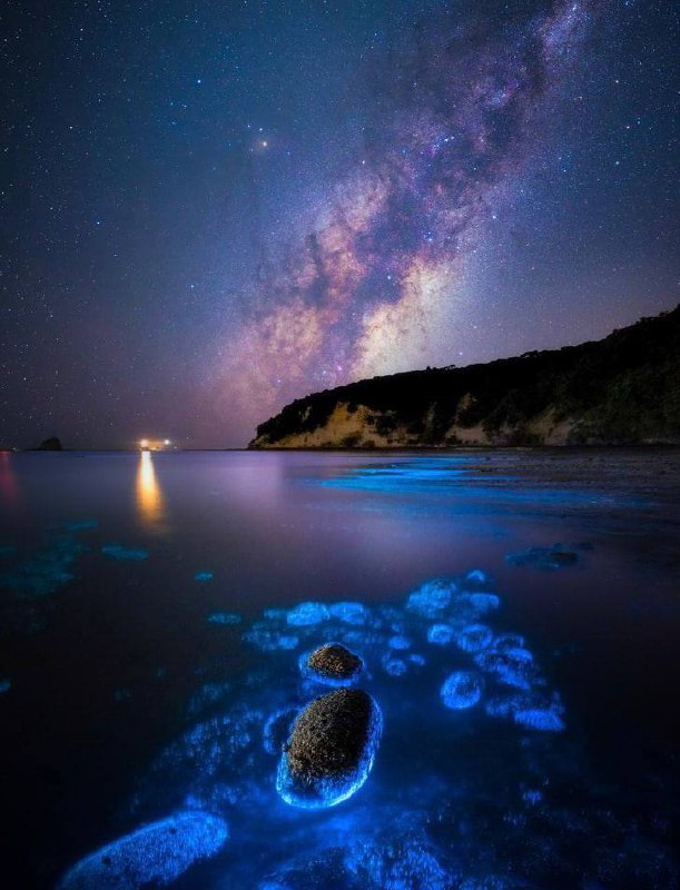 Paukščių Takas ir bioliuminescencija: kosmoso paslaptys 16177 Paukščių Takas Ir Bioliuminescencija Kosmoso Paslaptys