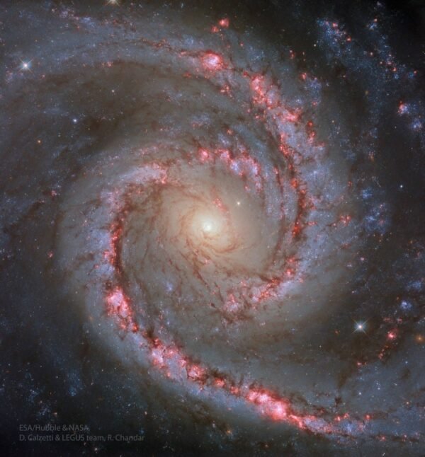 16260 Ngc 1566 Ispanų šokėja Kosminėje Erdvėje