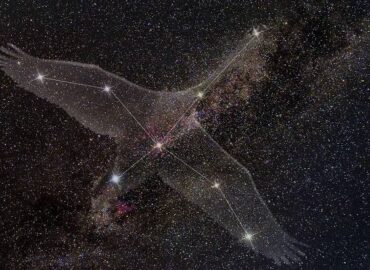 16264 Gulbės žvaigždynas šiaurės Dangaus Kryžius