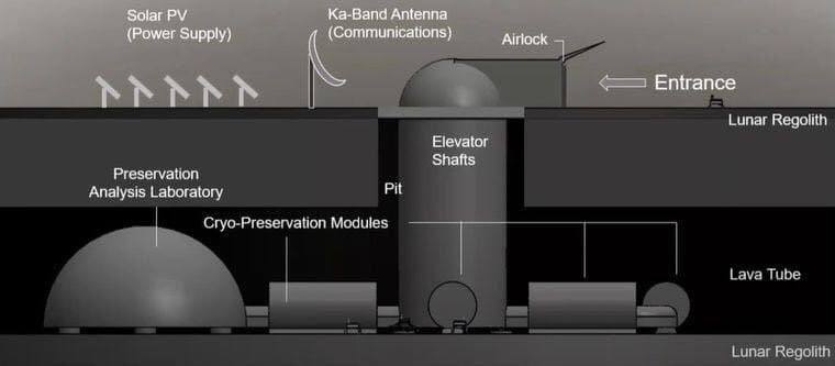 16281 Mokslininkai Planuoja įkurti Spermos Banką Mėnulyje Siekiant