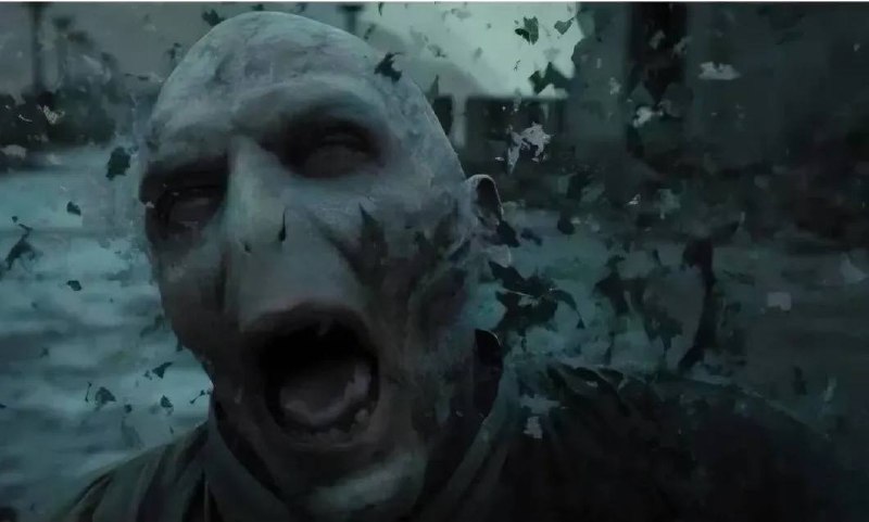 20543 Ekologiškos Odos Ilgaamžiškumas Kaip Ji Keičiasi Ant žaidim