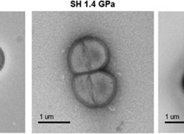 3197 Žemės Mikroorganizmai Gali Išgyventi Asteroido Smūgio Sąlyga