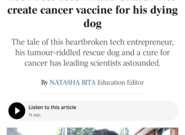 4178 Australų It Specialistas Sukūrė Vėžio Vakciną Savo šuniui