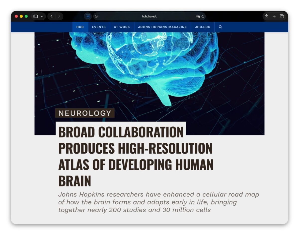 Neuromokslininkai sukūrė žmogaus smegenų vystymosi atlasą 6892 Neuromokslininkai Sukūrė žmogaus Smegenų Vystymosi Atlasą