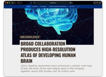 6892 Neuromokslininkai Sukūrė žmogaus Smegenų Vystymosi Atlasą