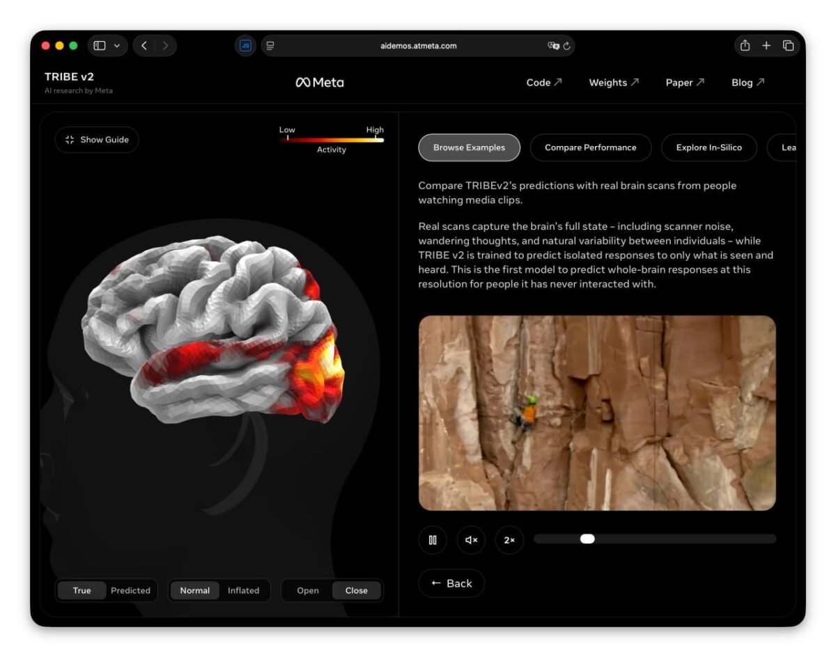 Naujas smegenų veiklos simuliatorius leidžia stebėti neuronų aktyvumą realiu laiku 6894 Naujas Smegenų Veiklos Simuliatorius Leidžia Stebėti Neuronų