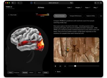 6894 Naujas Smegenų Veiklos Simuliatorius Leidžia Stebėti Neuronų
