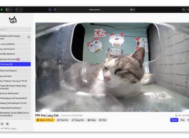 6906 Interneto Svetainė Siūlo Tiesiogines Transliacijas Iš Kačių 