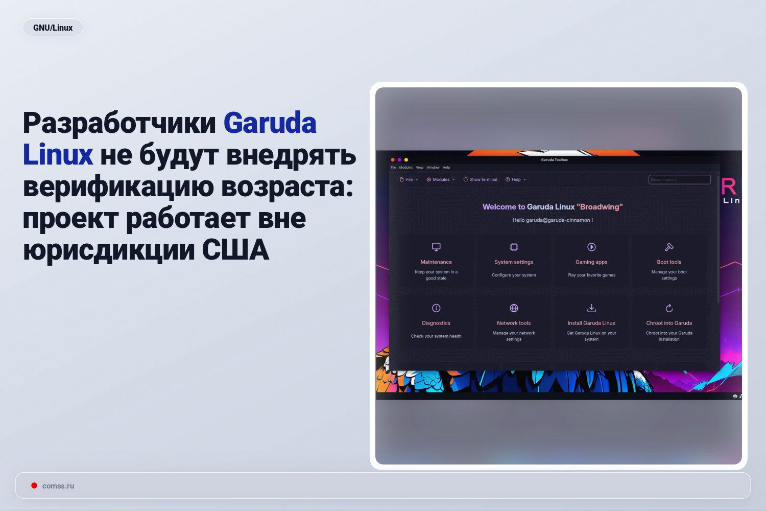 Garuda Linux Neplanuoja Diegti Amiaus Patikros Sistemos