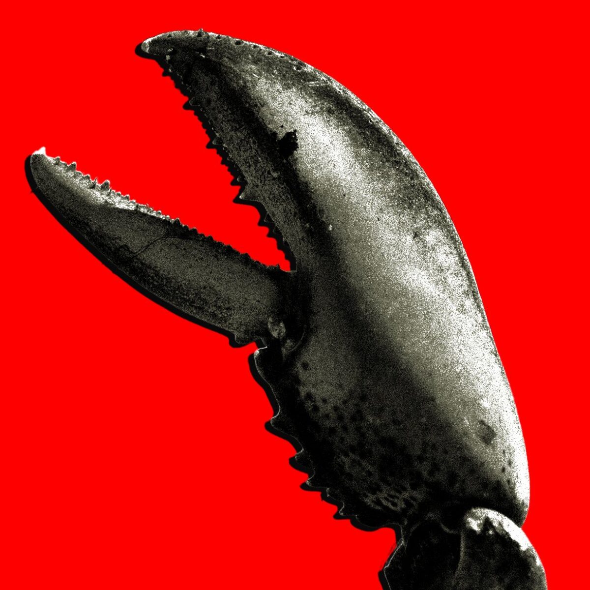 Kinijoje OpenClaw populiarumas skatina AI įmonių augimą Kinijoje Openclaw Populiarumas Skatina Ai Moni Augim