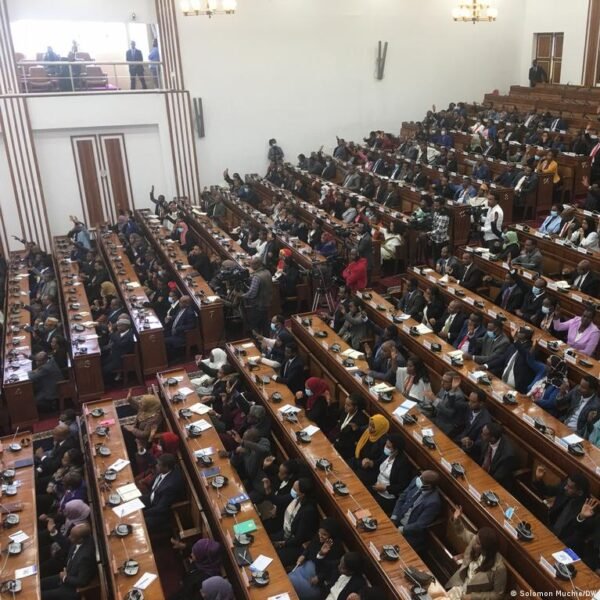 Moterys Afrikos Parlamentuose Didjantis Skaiius Bet Ne Visur Lygyb