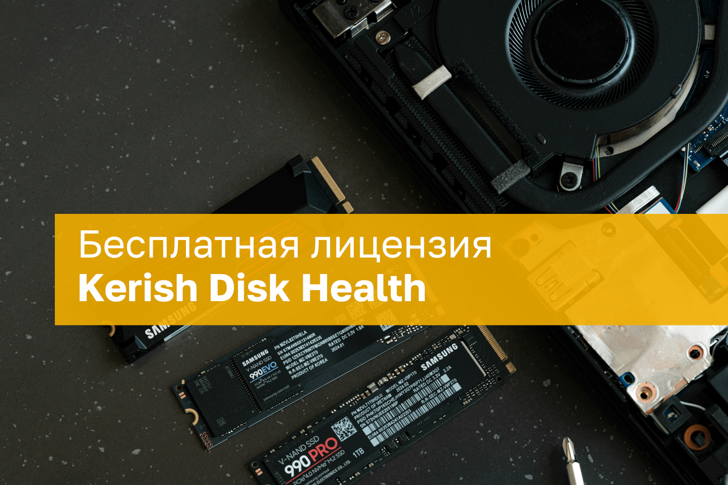 Nemokama Kerish Disk Health Licencija Vieniems Metams Stebkite Ssd Ir Hdd Bkl
