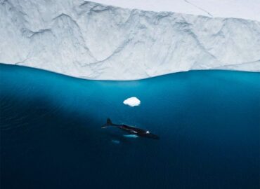 10855 Įspūdingas Kadras Iš šiaurės Ledo Pasaulio