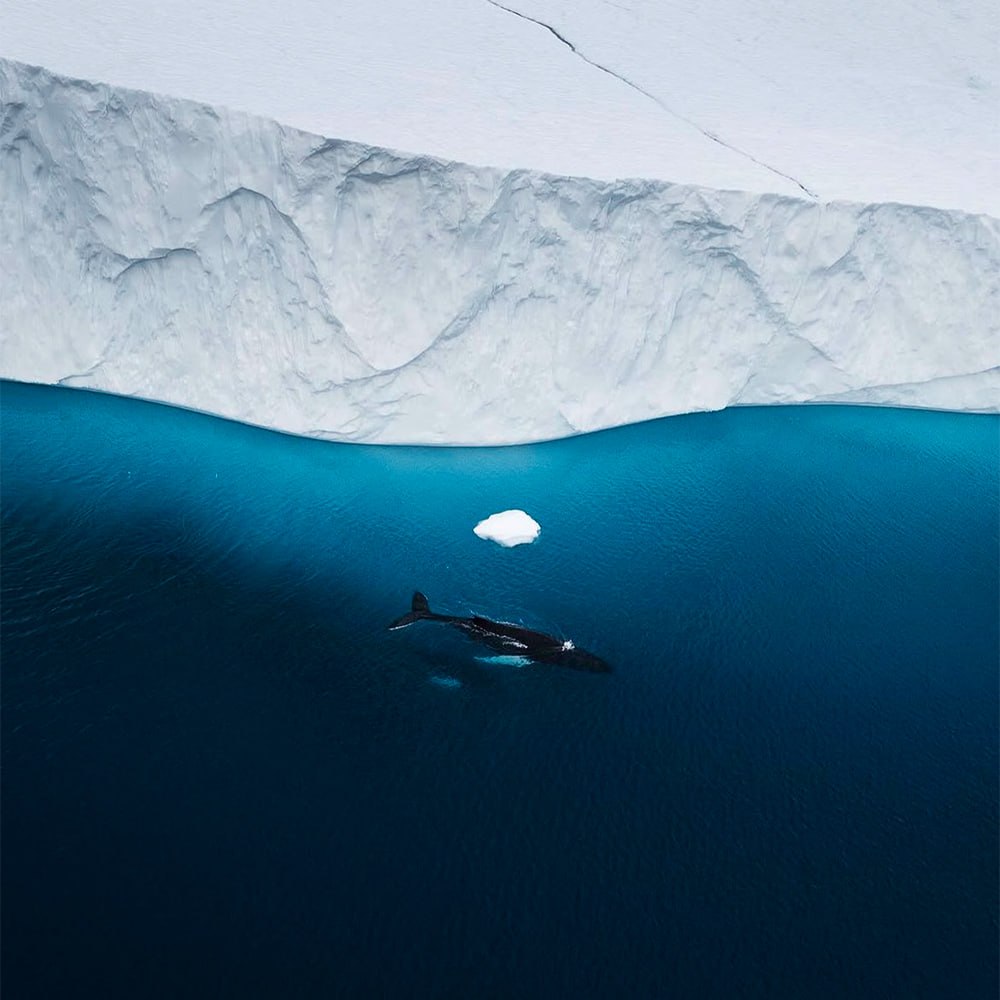 10855 Įspūdingas Kadras Iš šiaurės Ledo Pasaulio