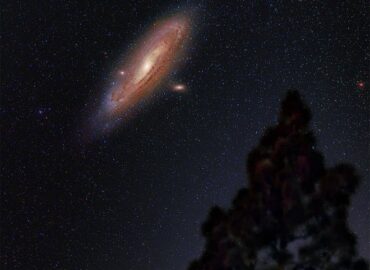 10863 Įspūdingas Andromedos Galaktikos Vaizdas Virš Pušų