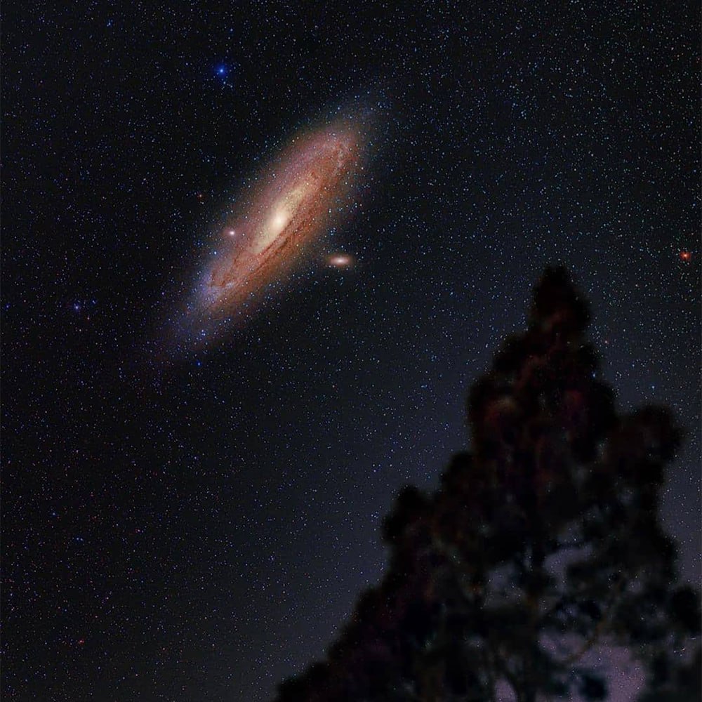 10863 Įspūdingas Andromedos Galaktikos Vaizdas Virš Pušų