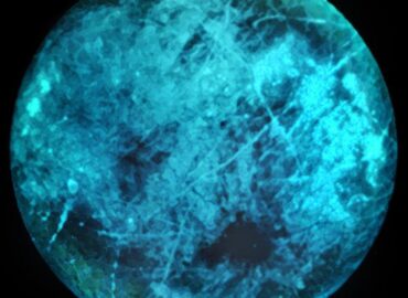 16292 Jupiterio Palydovas Europa švyti Tamsoje Dėl Intensyvaus Rad