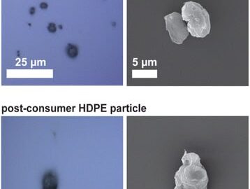1831 Mikroplastiko Tyrimus Trikdo Laboratorinės Pirštinės