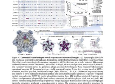 4212 Stanfordo Mokslininkai Sukūrė Naujus Virusus Pasitelkdami Di