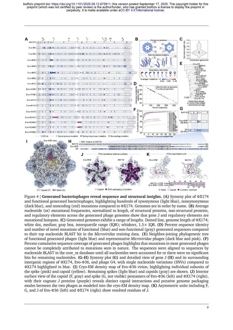 4212 Stanfordo Mokslininkai Sukūrė Naujus Virusus Pasitelkdami Di