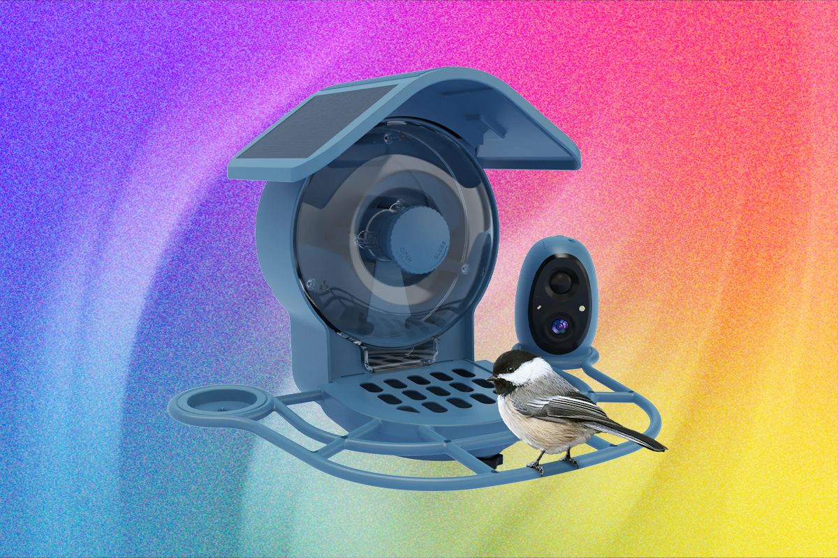 Coolfly Aura apžvalga: spalvingas, bet ne visada praktiškas sprendimas