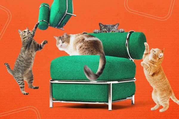 Ikea Pristato Nauj Pripuiam Kd Ibandyt Katmis