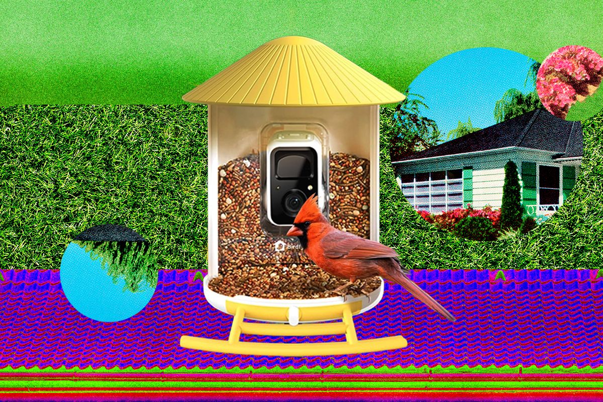 Išmanieji lesyklos su kameromis ir programėlėmis: paukščių stebėjimas naujame lygmenyje