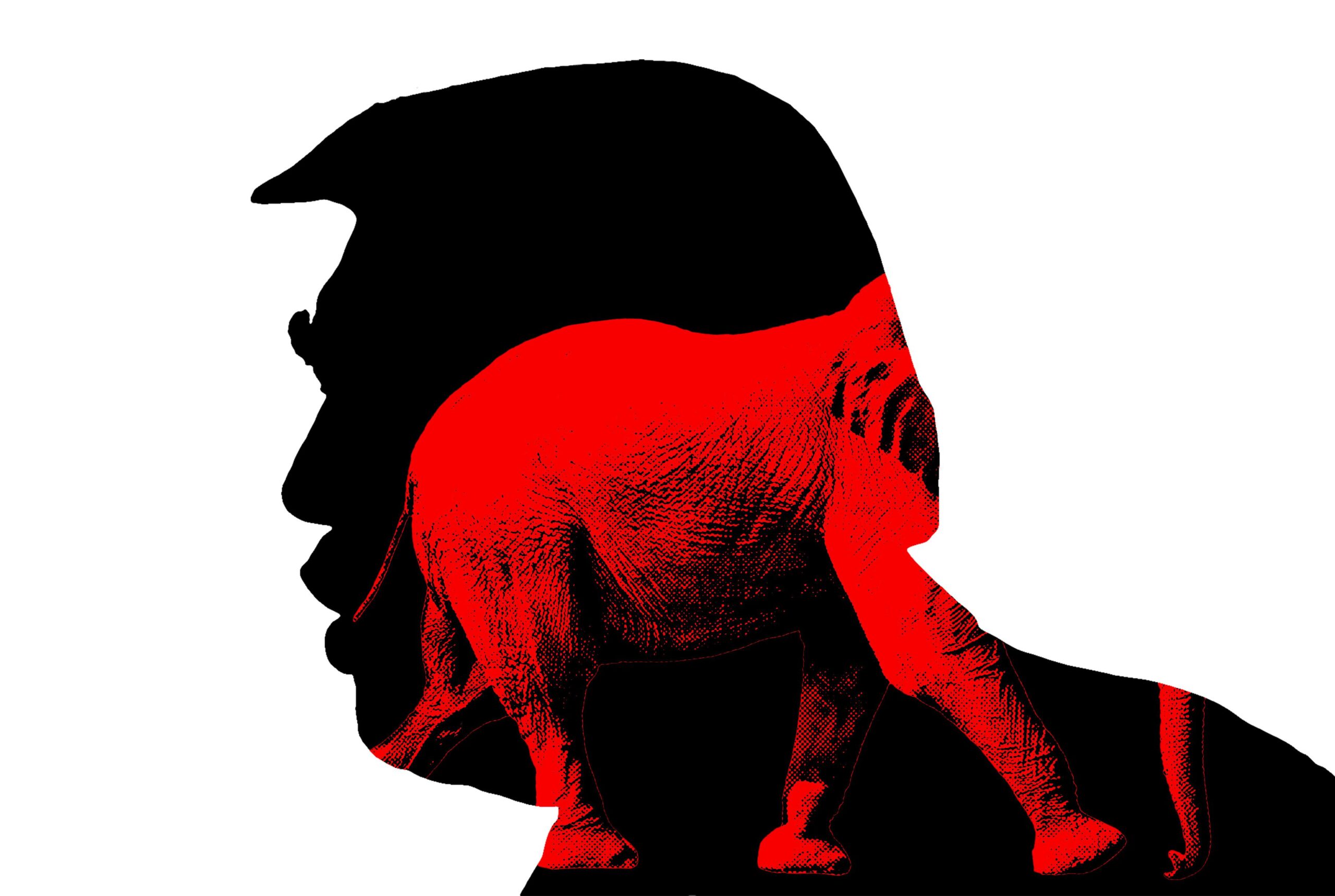 Maga Judjimas Pradeda Valgytis U Trumpo Rib