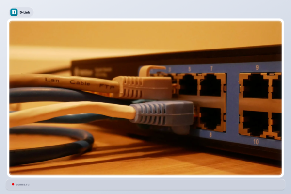 Mirai Botnetas Inaudoja Kritin D Link Marrutizatori Paeidiamyb