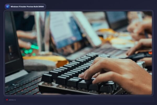 Pasirod Nauja Windows 11 Insider Preview Build 29560 Versija Testavimui