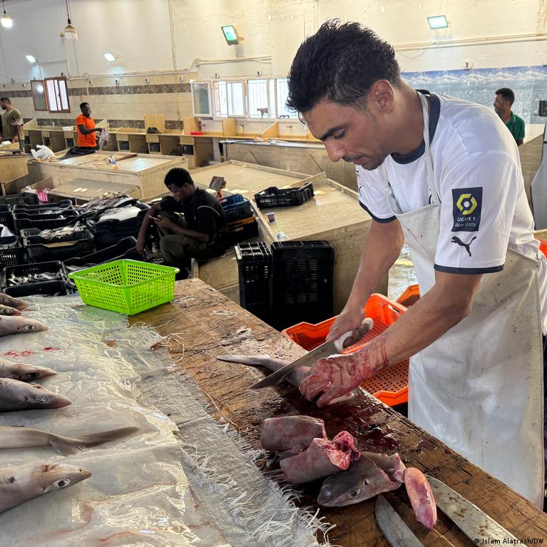 Viduremio Jros Rykliai Nyksta Dl Teisini Sprag Ir Nekontroliuojamos Prekybos