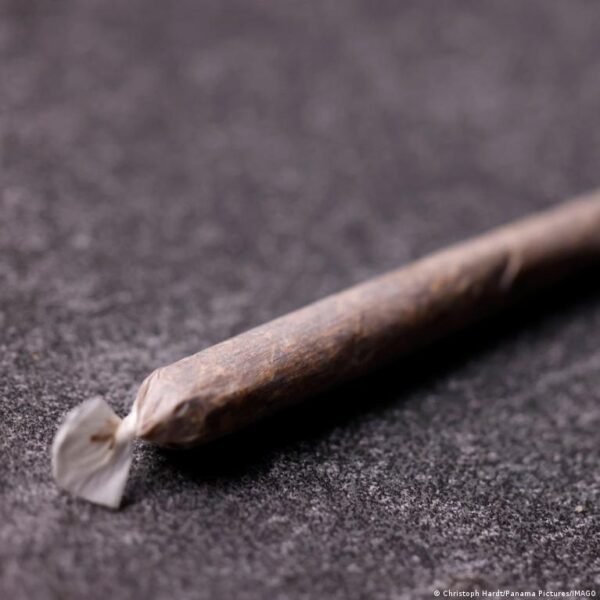 Vokietijos Konservatoriai Kritikuoja Kanapi Legalizacij Po Dvej Met Ataskaitos