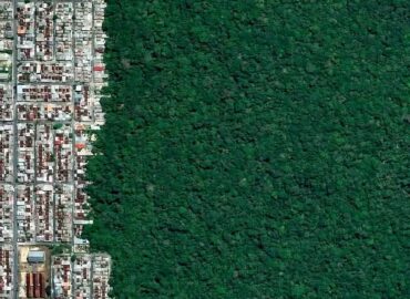 10920 Miestas Ir Gamta Manao Miesto Ir Amazonės Miško Susidūrimas