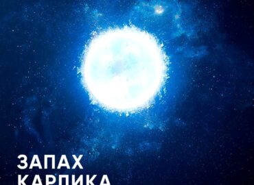 10979 Kodėl Baltieji Nykštukai Skleidžia Nemalonų Kvapą