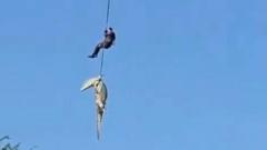 Australijos Pareignas Pasakoja Apie Krokodilo Su Mogaus Liekanomis Viduje Sulaikym