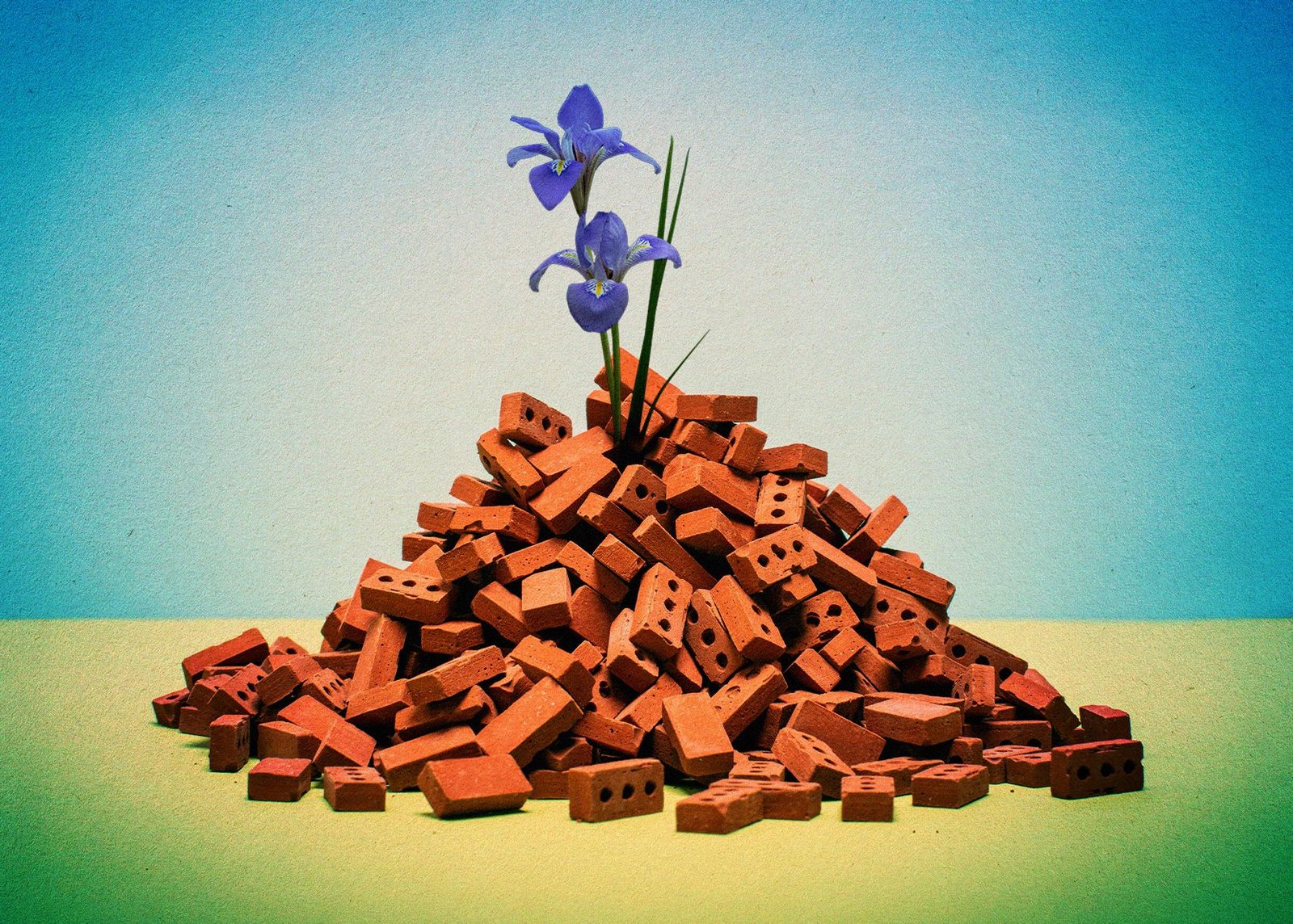 Gazoje Atstatomi Pastatai Naudojant Lego Tipo Blokus I Griuvsi