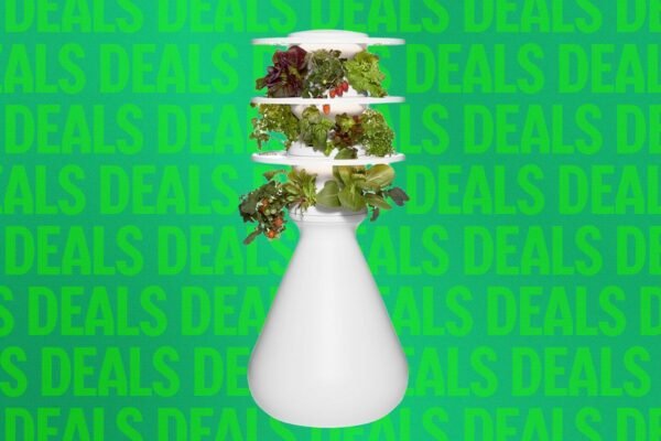 Lettuce Grow Vidaus Sodas Su 20 Proc Nuolaida Motinos Dienos Proga