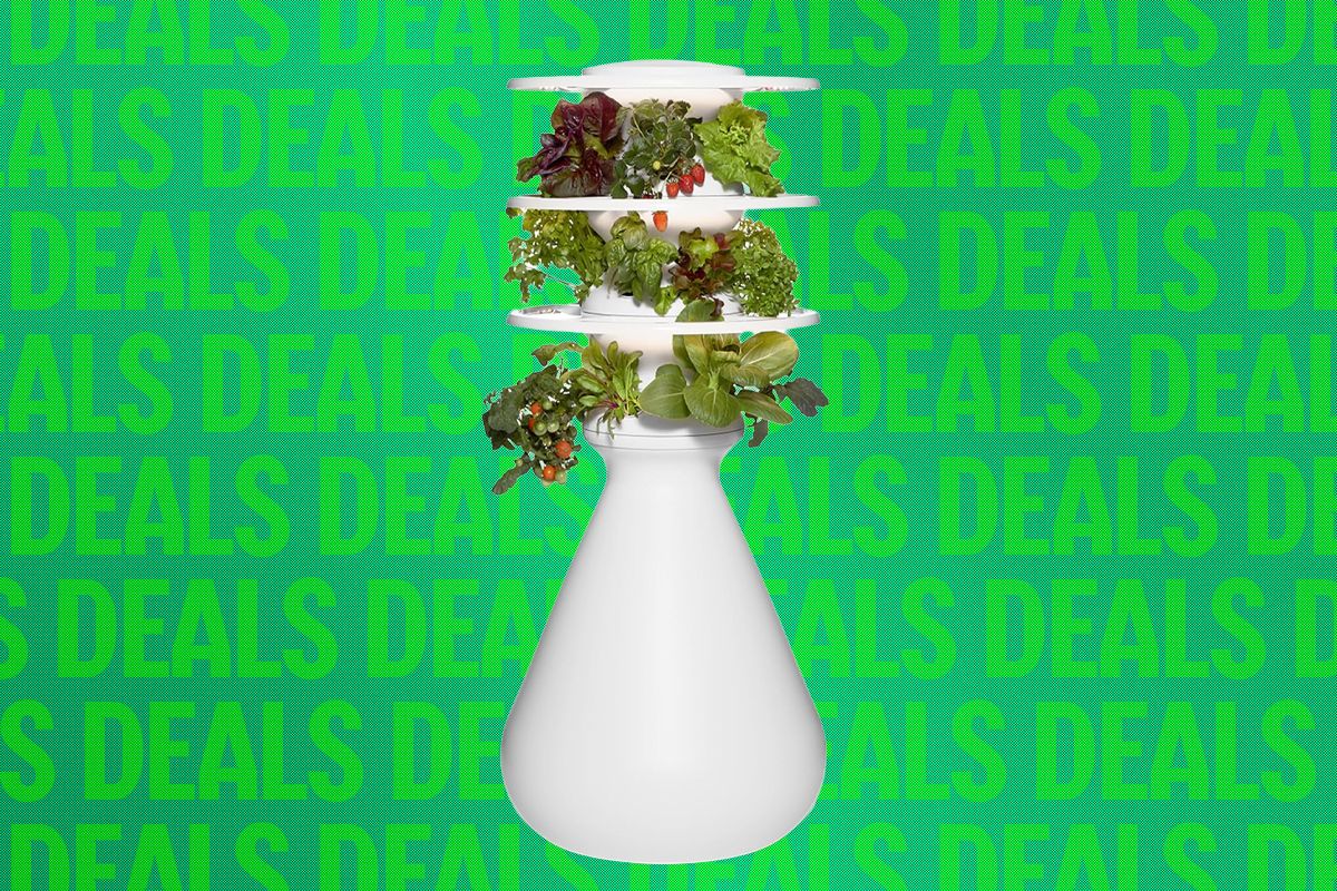 Lettuce Grow vidaus sodas su 20 proc. nuolaida Motinos dienos proga