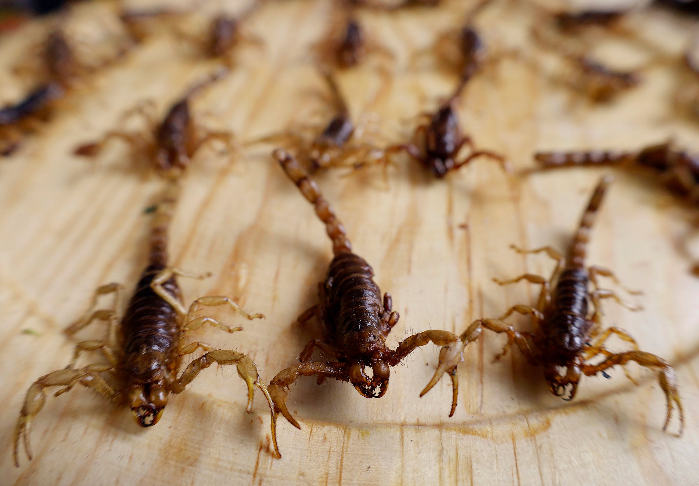 Nauji Antibiotikai I Skorpion Nuod Ir Habanero Pipir Kovoje Su Atspariomis Bakterijomis