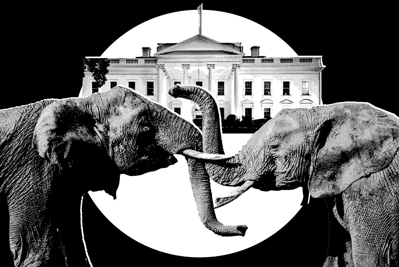 Trumpas Siekia Takos Rinkimuose Teksase Kalifornijoje Ir Meine