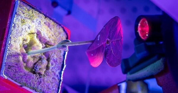 11522 Kalifornijos Universiteto Mokslininkai Kuria Metodą Vaistų G