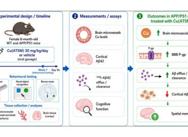 4258 Varis Gali Padėti Smegenims Kovoti Su Alzheimerio Baltymais