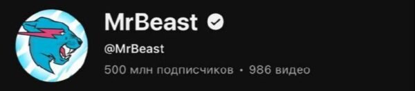 8068 Mrbeast Pasiekė 500 Milijonų Prenumeratorių Ribą Youtube P