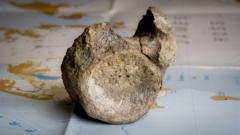 Antarktidoje rastas pirmasis dinozauro kaulas aptiktas stalčiuje