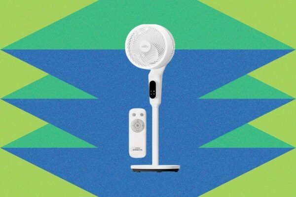 Coway Airmega Pedestal Fan P50 Tylus Ir Universalus Ventiliatorius