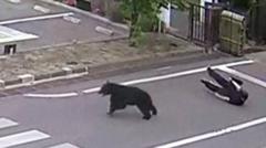 Japonijoje plieno gamykloje meška užpuolė keturis žmones