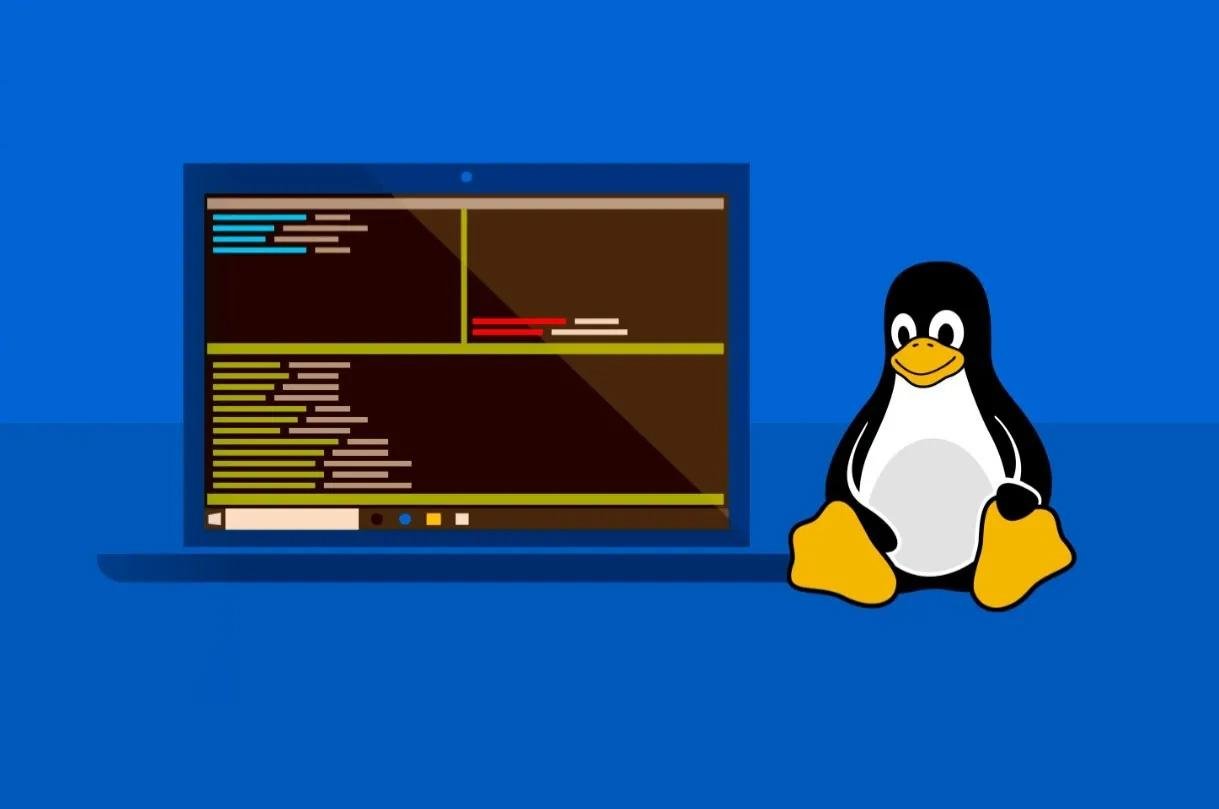 Microsoft Pristat Naujus Rankius Krjams Coreutils Wsl Konteineriai Ir Intelligent Terminal